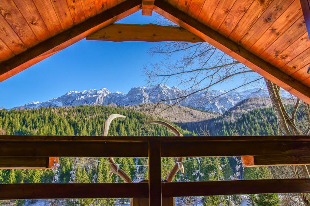 Cabana Casa Craita Zărneşti Camera foto