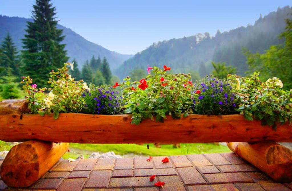 Cabana Casa Craita Zărneşti Camera foto