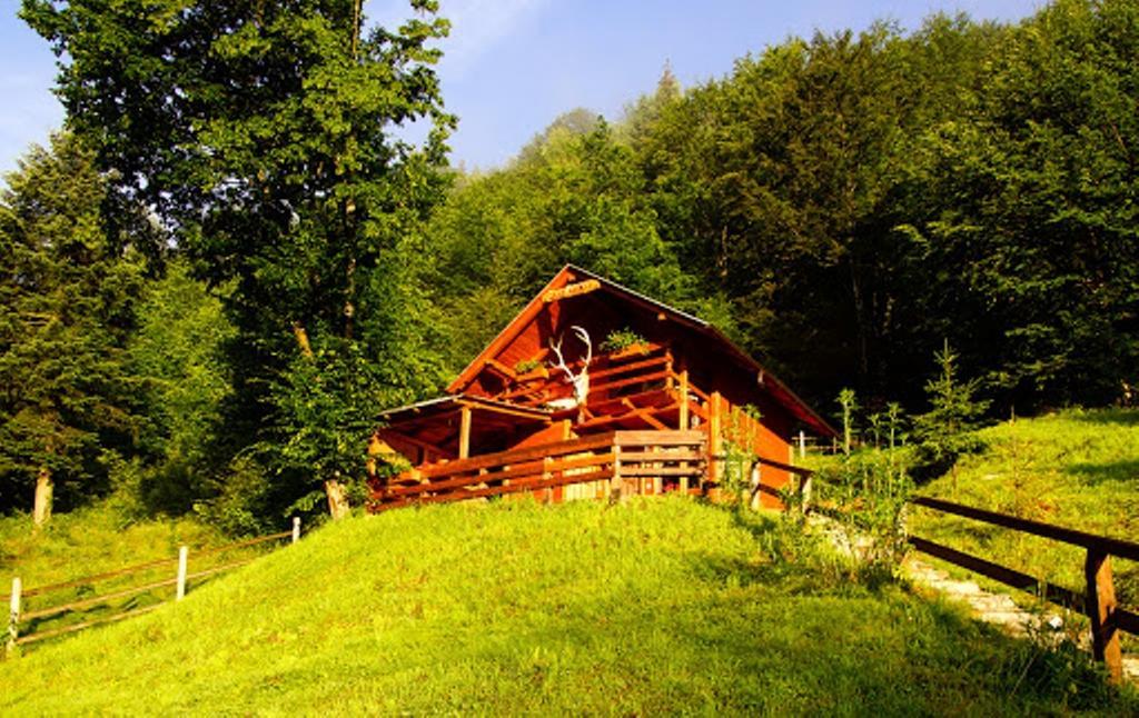 Cabana Casa Craita Zărneşti Camera foto
