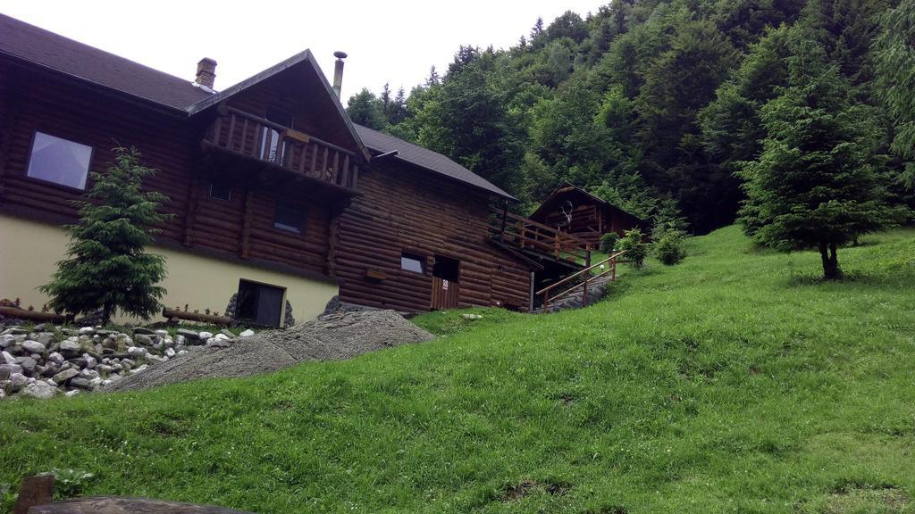 Cabana Casa Craita Zărneşti Esterno foto
