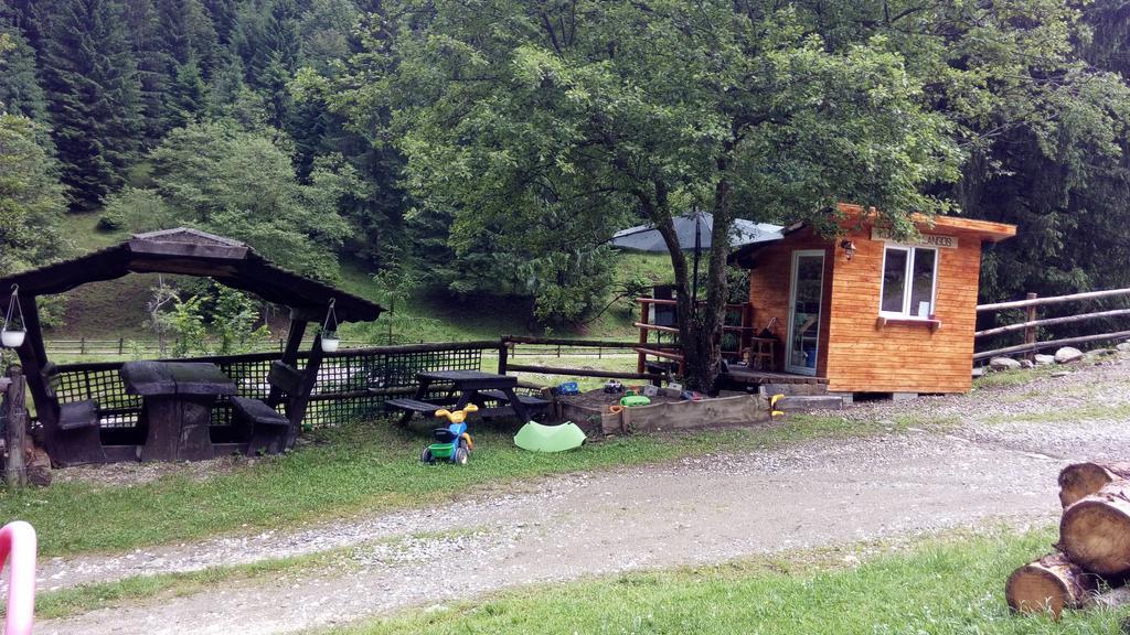 Cabana Casa Craita Zărneşti Esterno foto
