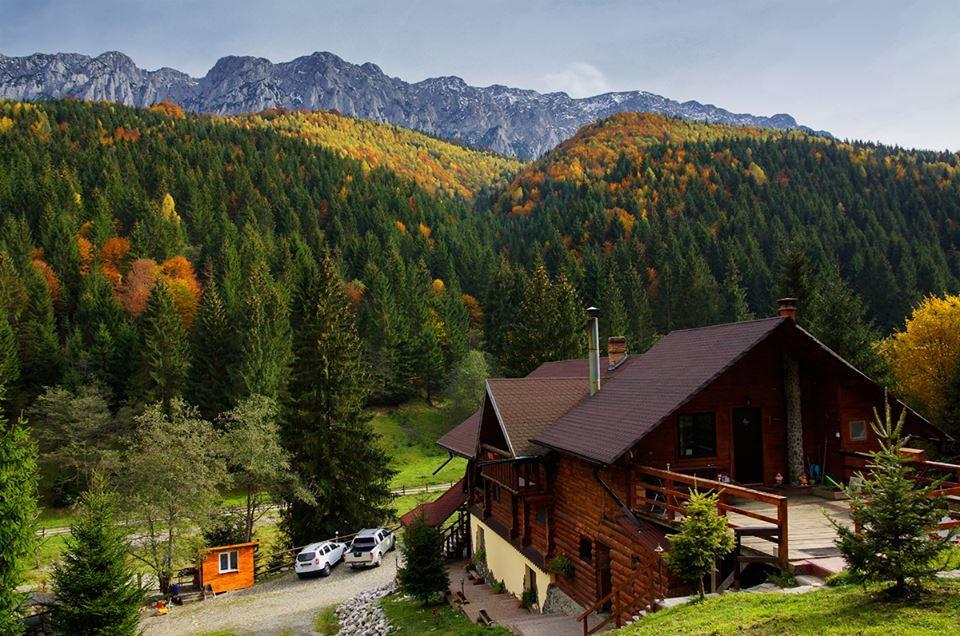 Cabana Casa Craita Zărneşti Esterno foto