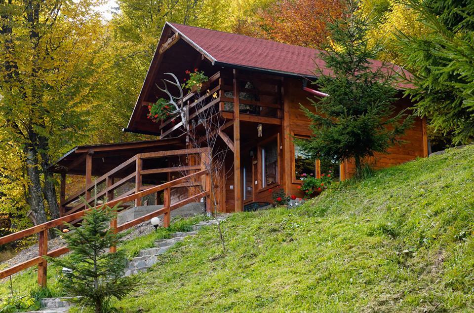 Cabana Casa Craita Zărneşti Esterno foto