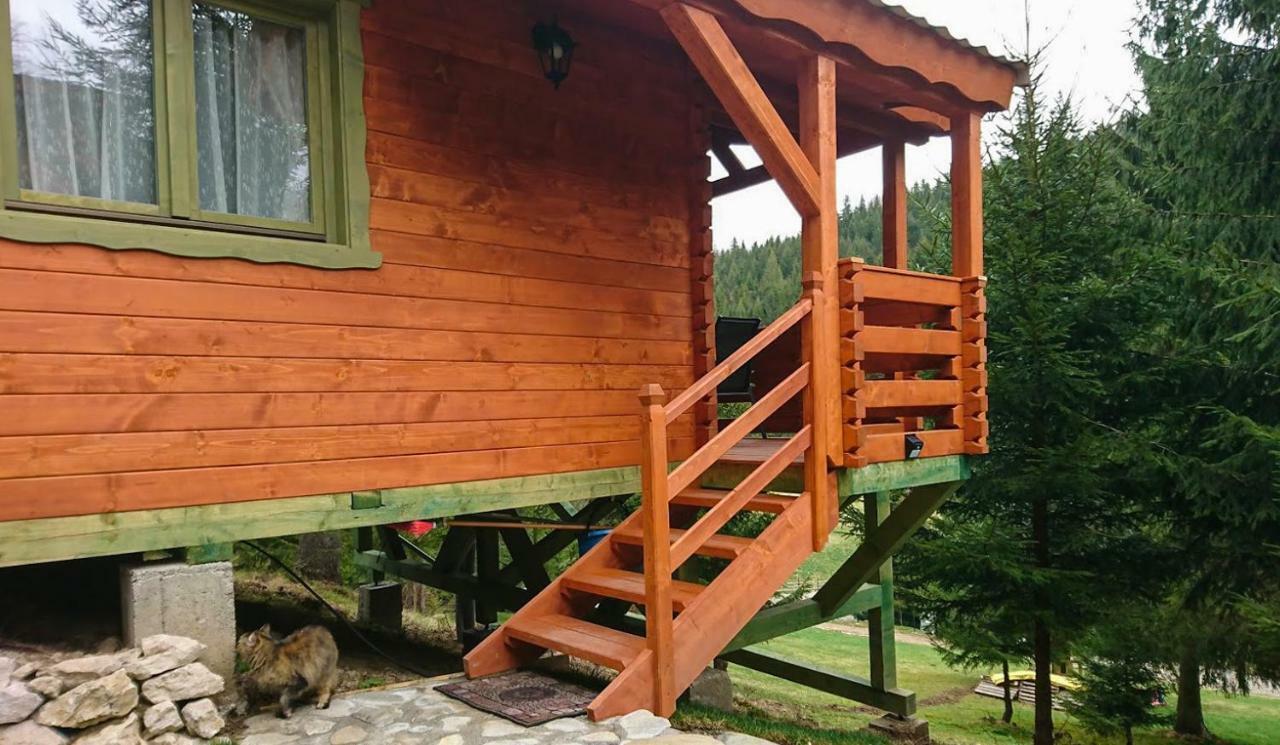 Cabana Casa Craita Zărneşti Esterno foto