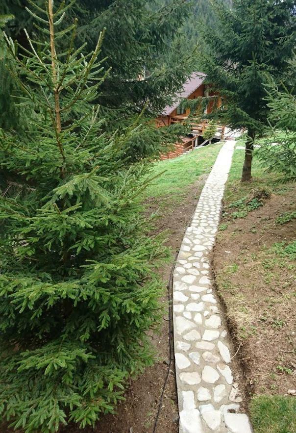 Cabana Casa Craita Zărneşti Esterno foto