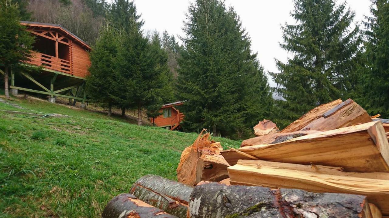 Cabana Casa Craita Zărneşti Esterno foto