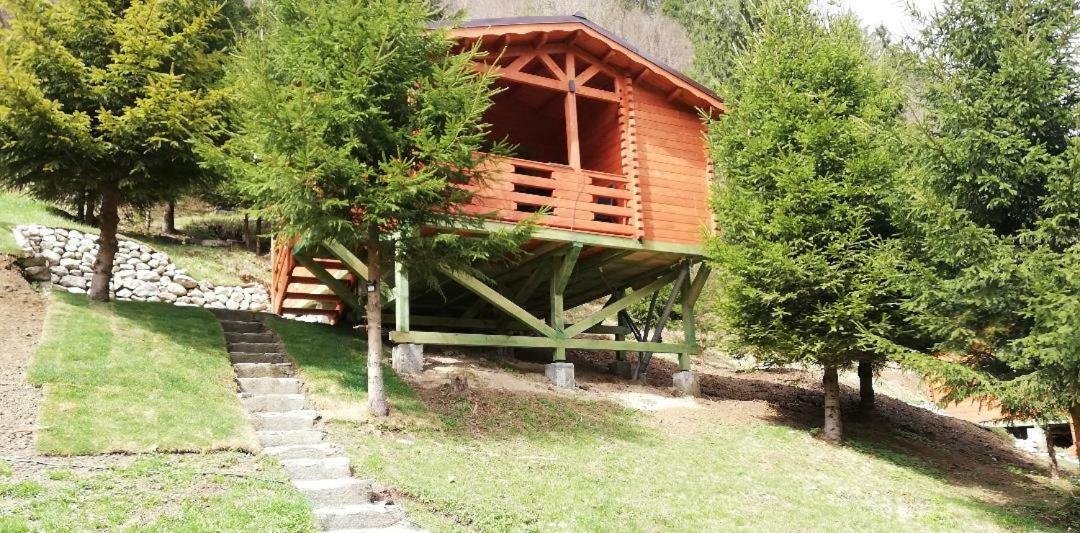 Cabana Casa Craita Zărneşti Esterno foto
